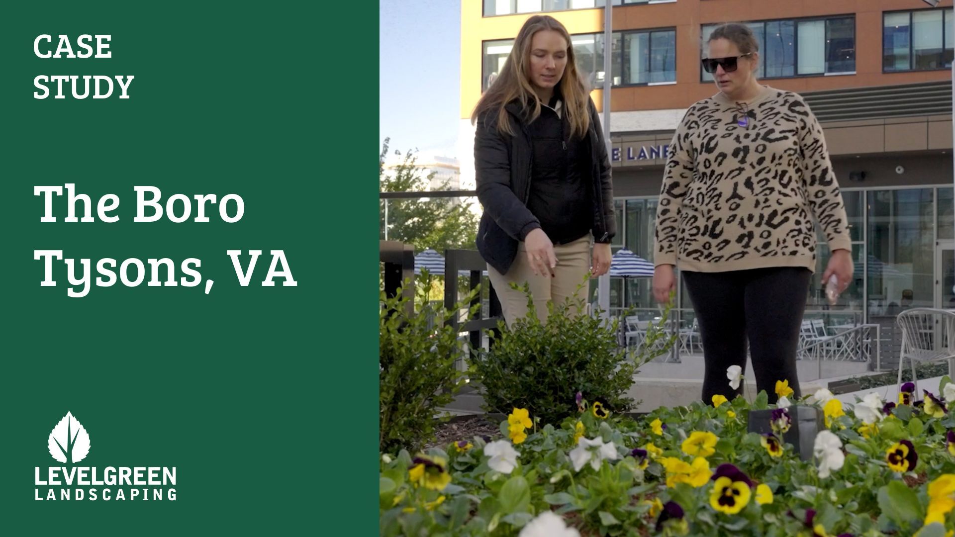 The Boro - Tysons VA Case Study