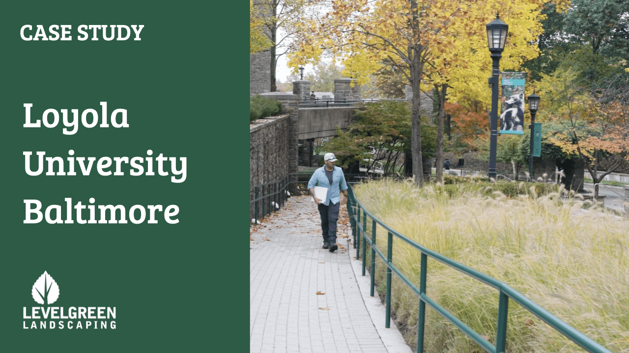 college landscaping - loyola university .001