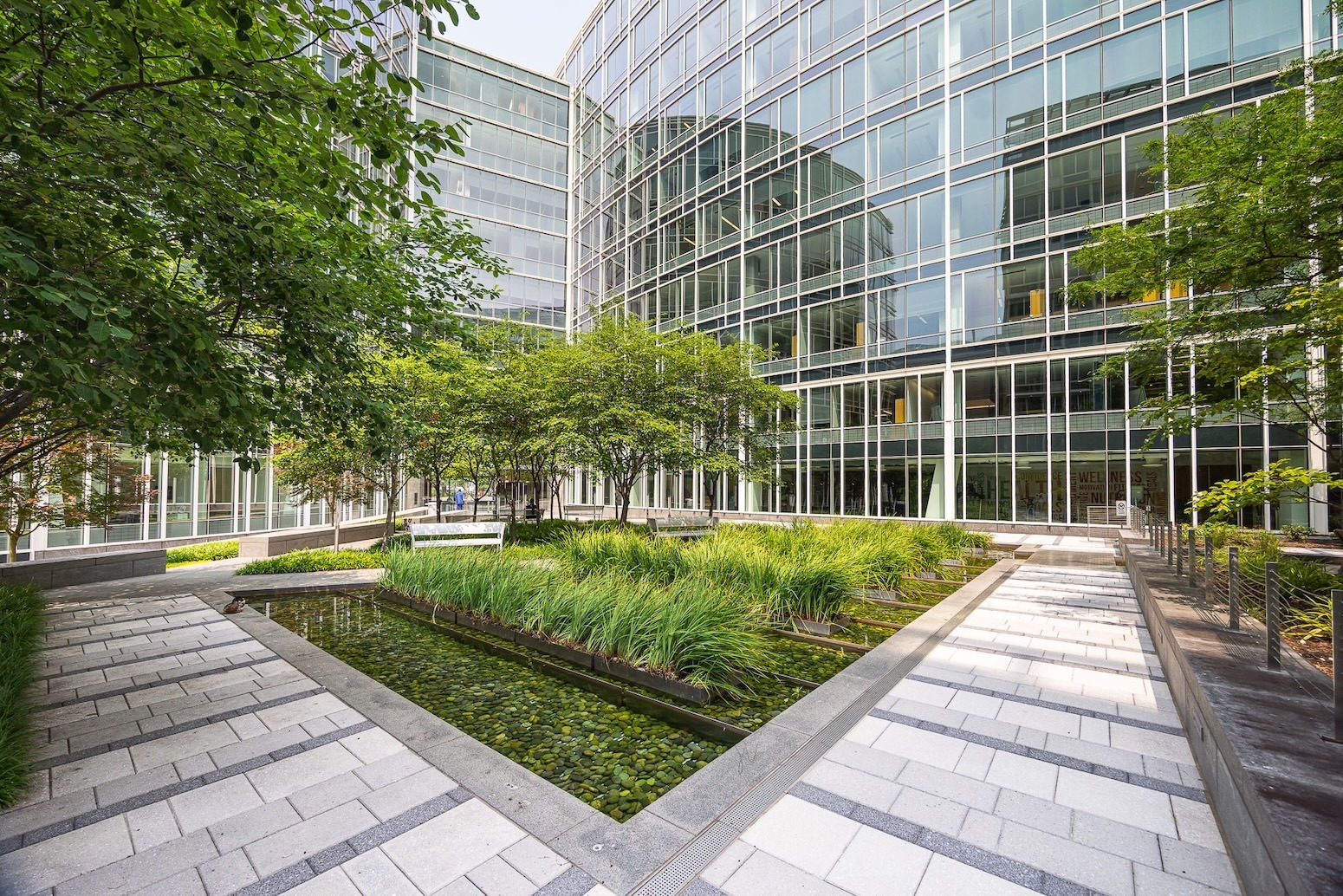 walkway courtyard