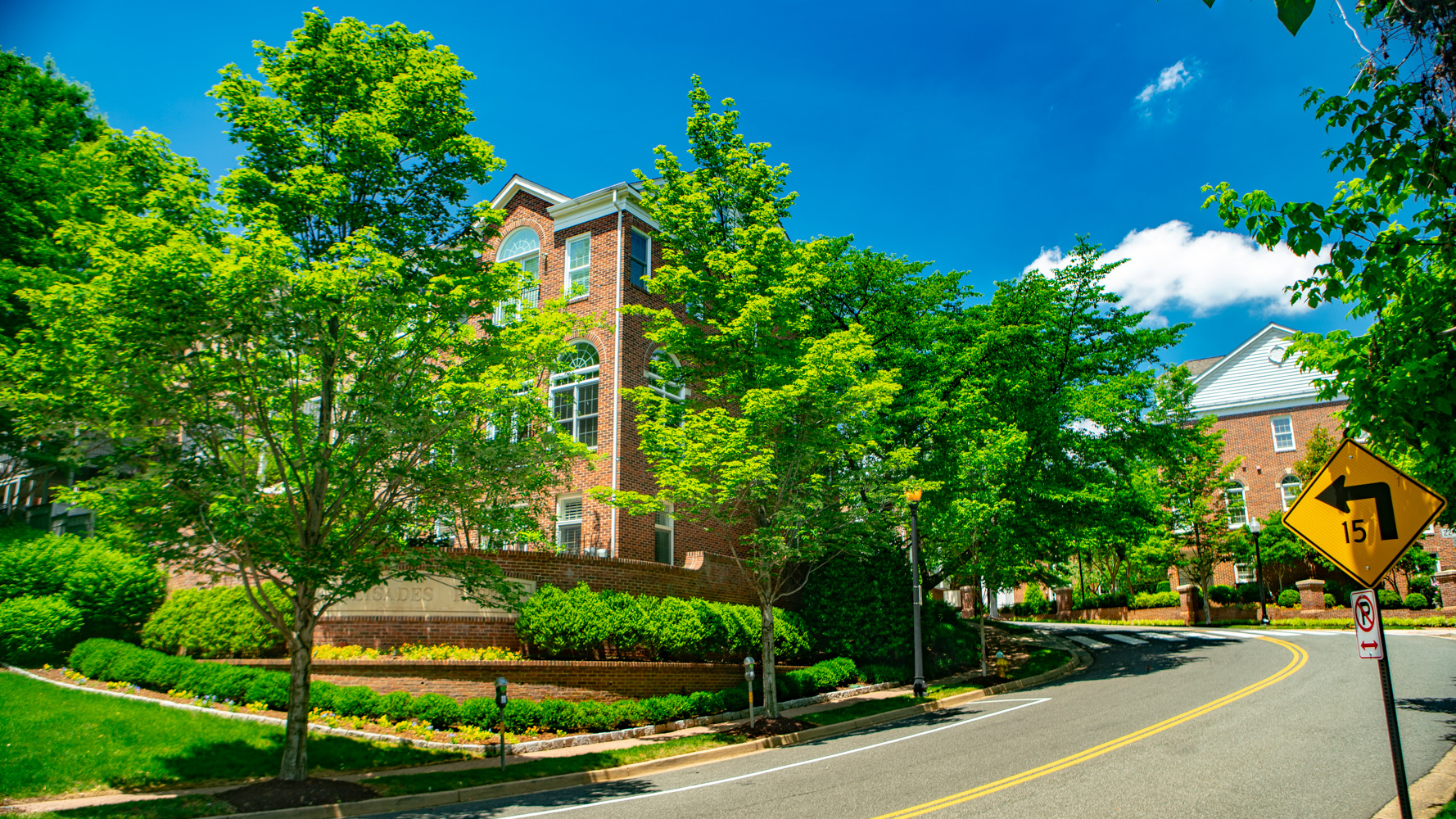 Commercial landscaping hoa, condo, apartments, trees, shrubs, sidewalk driveways, retaining walls