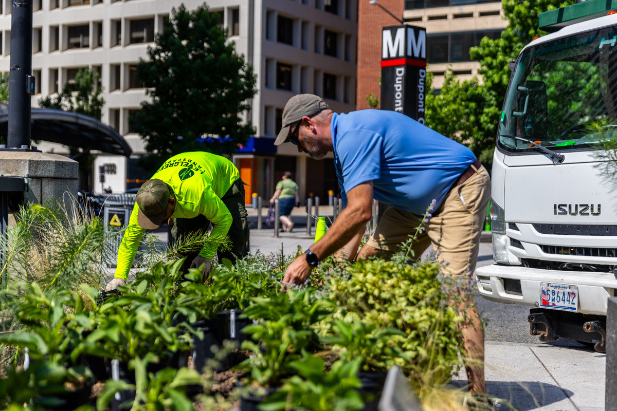 commercial landscape maintenance crew caring for plants