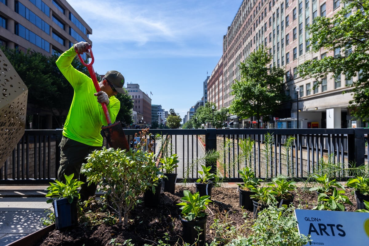 Golden Triangle enhancment planting crew