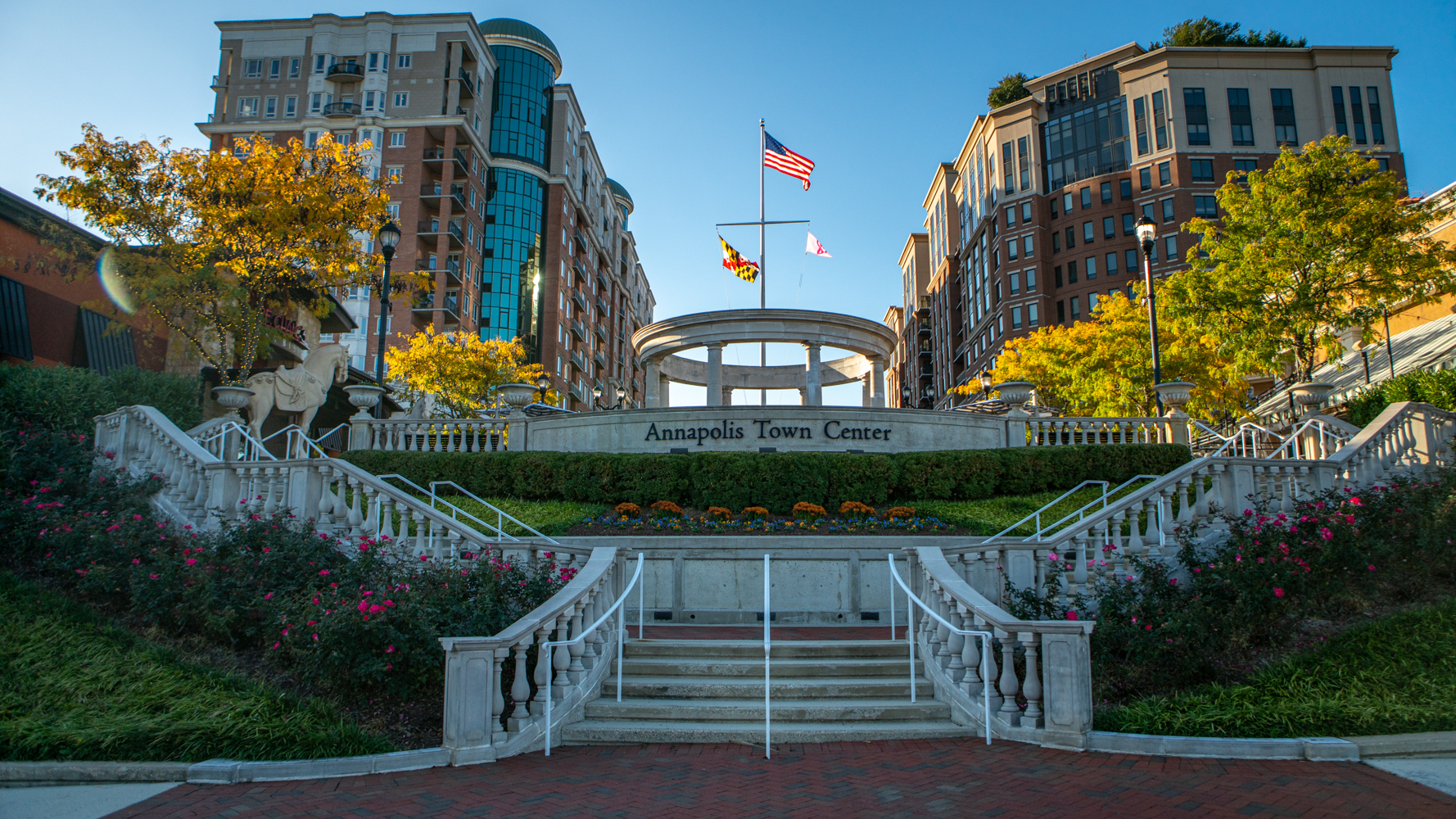 LevelGreen Commercial Annapolis Town Center Shopping Sign Annual planting landscaping flowers mums pansies 2