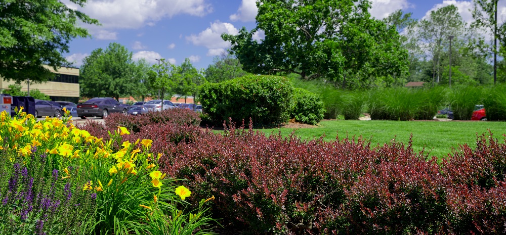 industrial complex landscape colorful plants