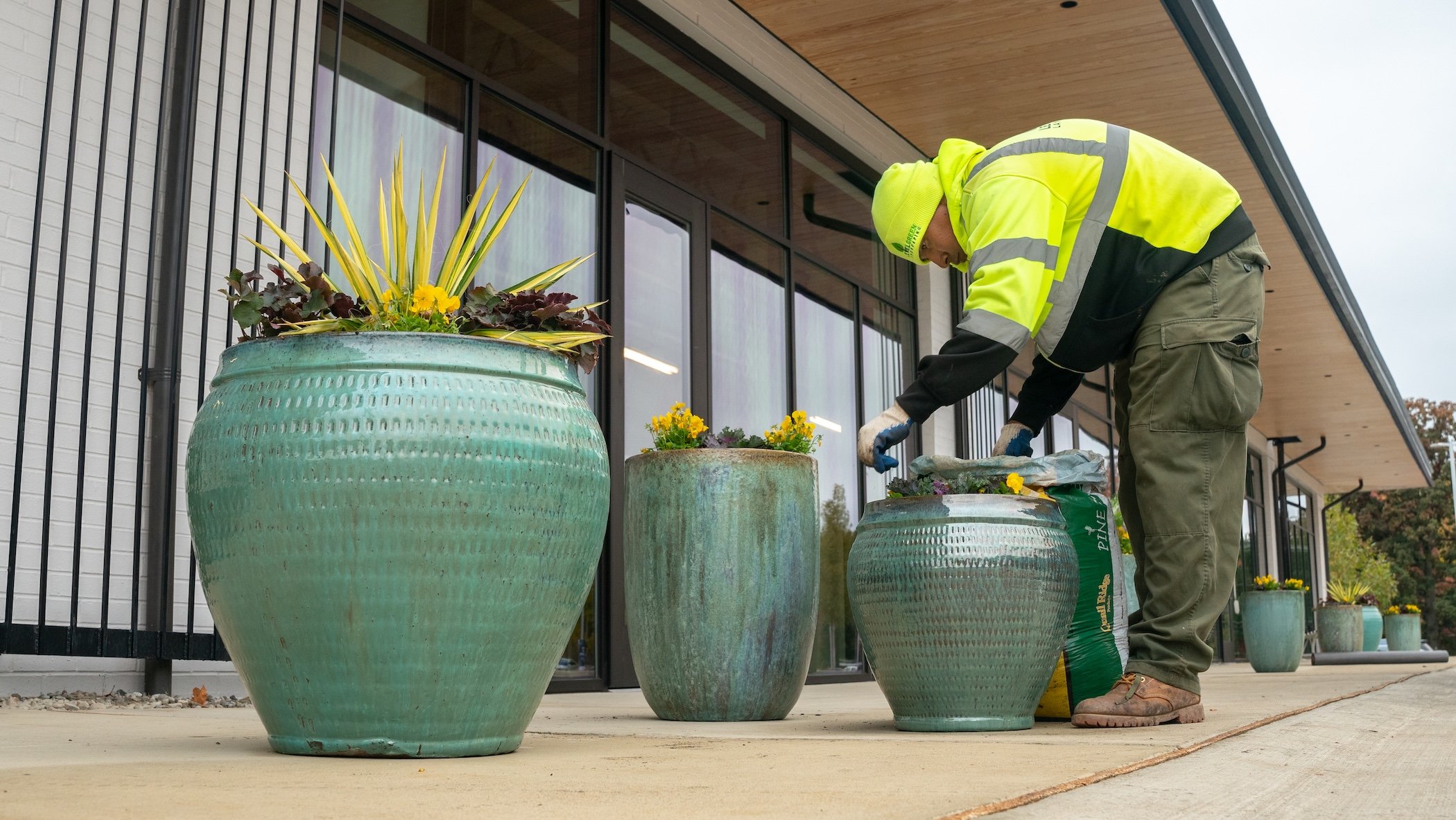container plants with fall flowers crew