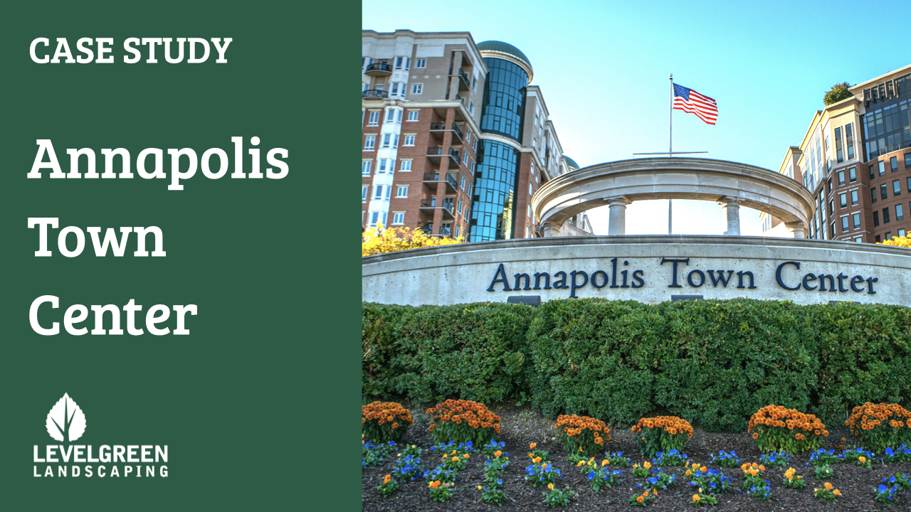 Annapolis Town Center.001