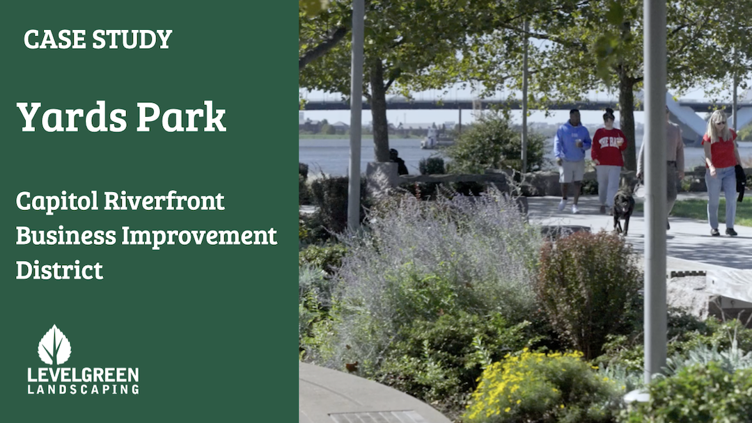 Yards Park - Capitol Riverfront Landscaping Case Study.001-1